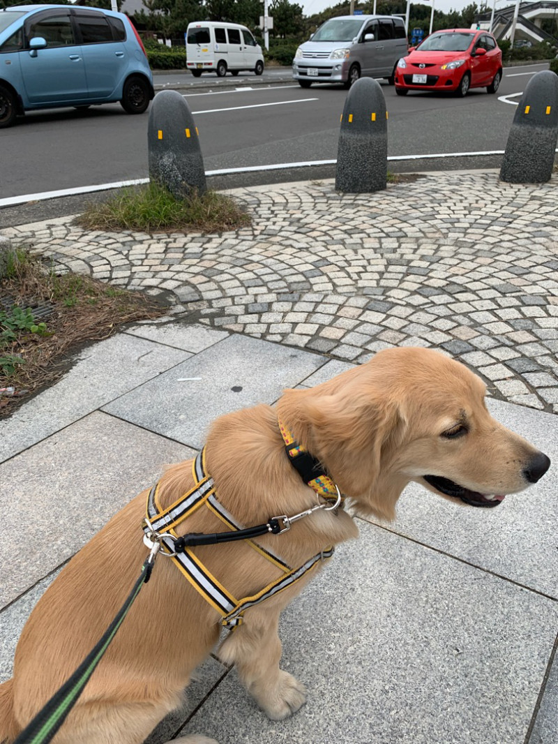 ファイル 6816-5.jpg