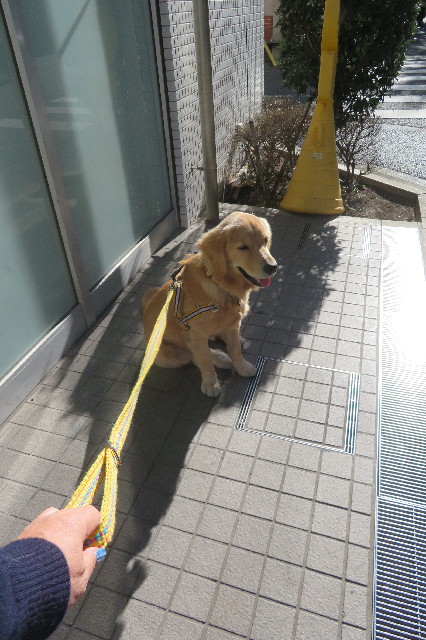 ファイル 6817-1.jpg