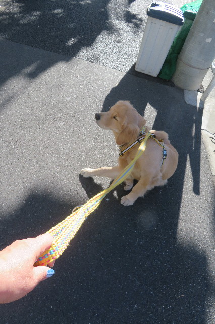 ファイル 6817-2.jpg