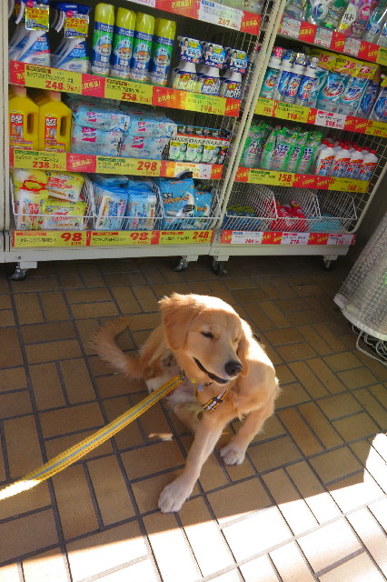 ファイル 6817-3.jpg