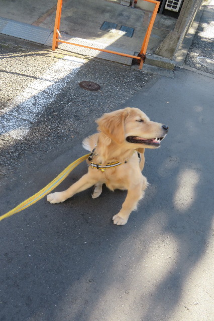 ファイル 6817-4.jpg