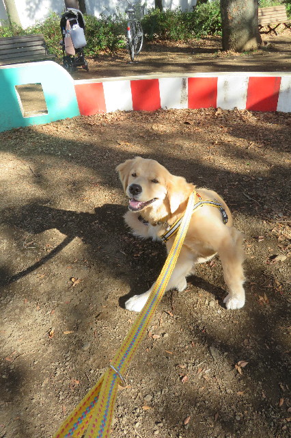 ファイル 6817-5.jpg