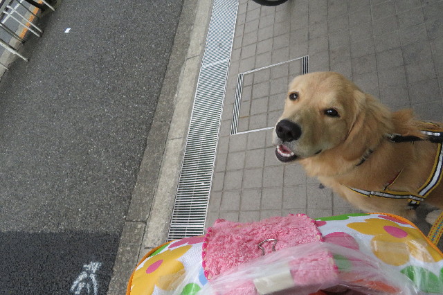 ファイル 6819-1.jpg