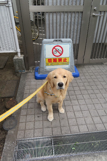 ファイル 6819-2.jpg