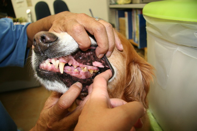 ファイル 682-1.jpg