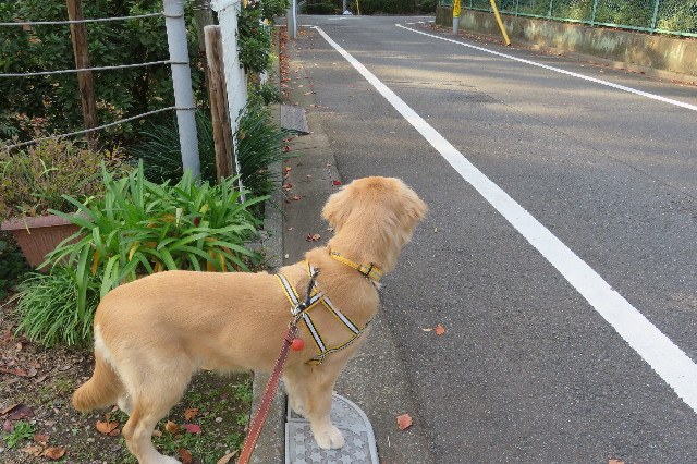 ファイル 6820-4.jpg