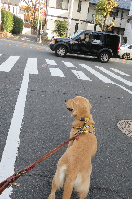 ファイル 6820-5.jpg