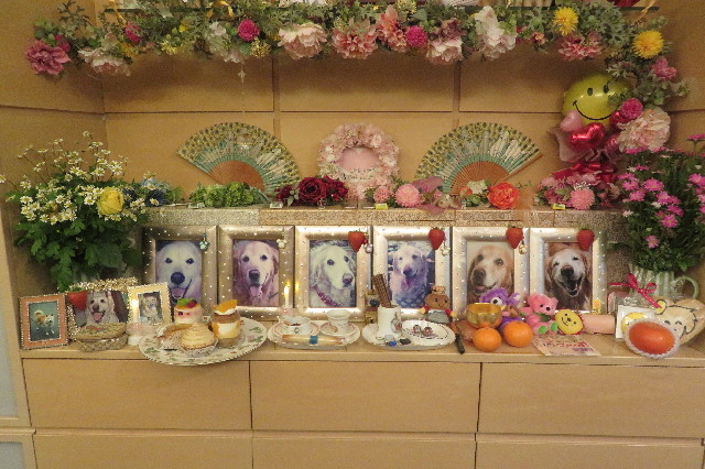 ファイル 6821-5.jpg