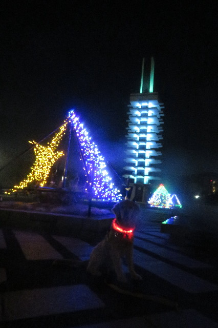 ファイル 6824-2.jpg