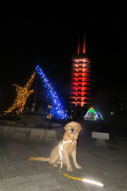 ファイル 6824-3.jpg