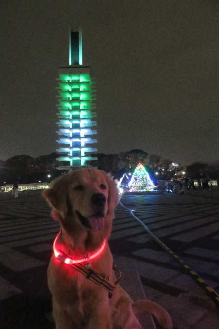 ファイル 6826-1.jpg