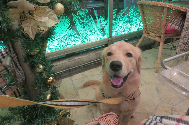 ファイル 6826-4.jpg