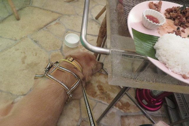 ファイル 6826-5.jpg