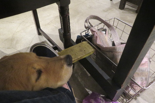 ファイル 6828-3.jpg