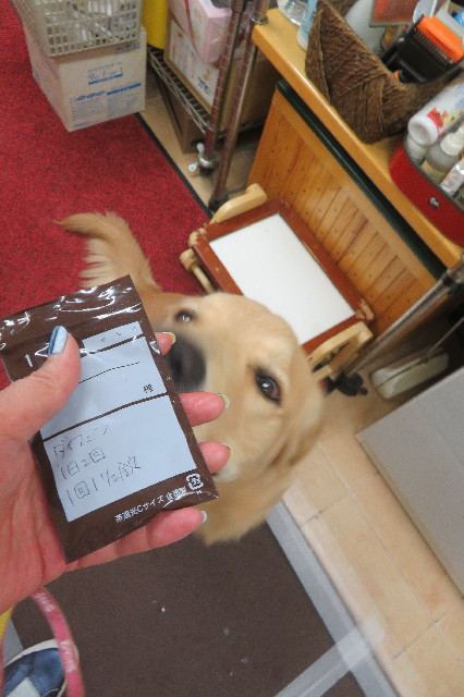 ファイル 6829-5.jpg