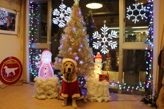 ファイル 6830-4.jpg