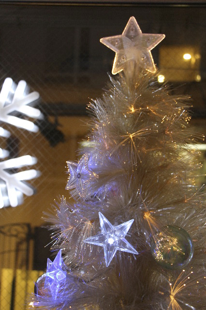 ファイル 6830-5.jpg