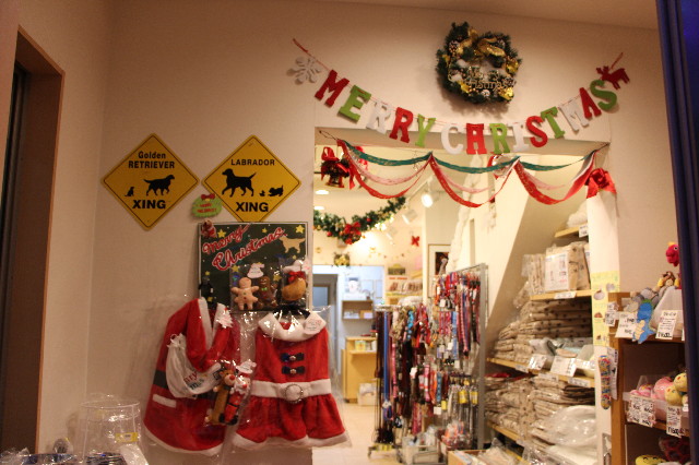 ファイル 6831-1.jpg