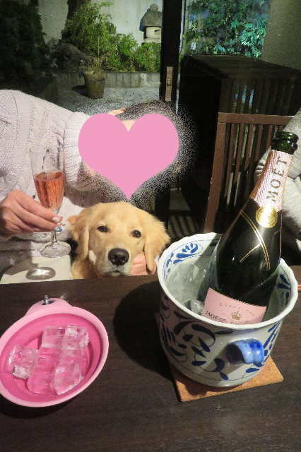 ファイル 6832-1.jpg