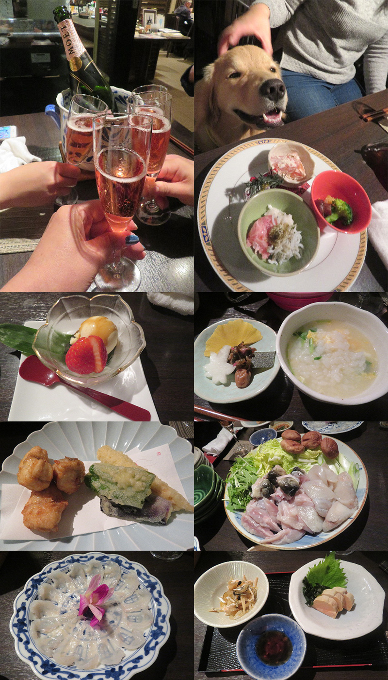 ファイル 6832-2.jpg