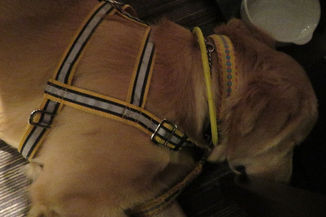 ファイル 6832-4.jpg