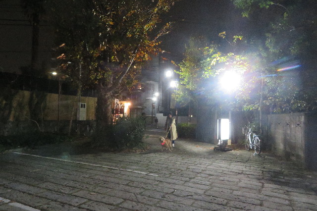 ファイル 6832-5.jpg