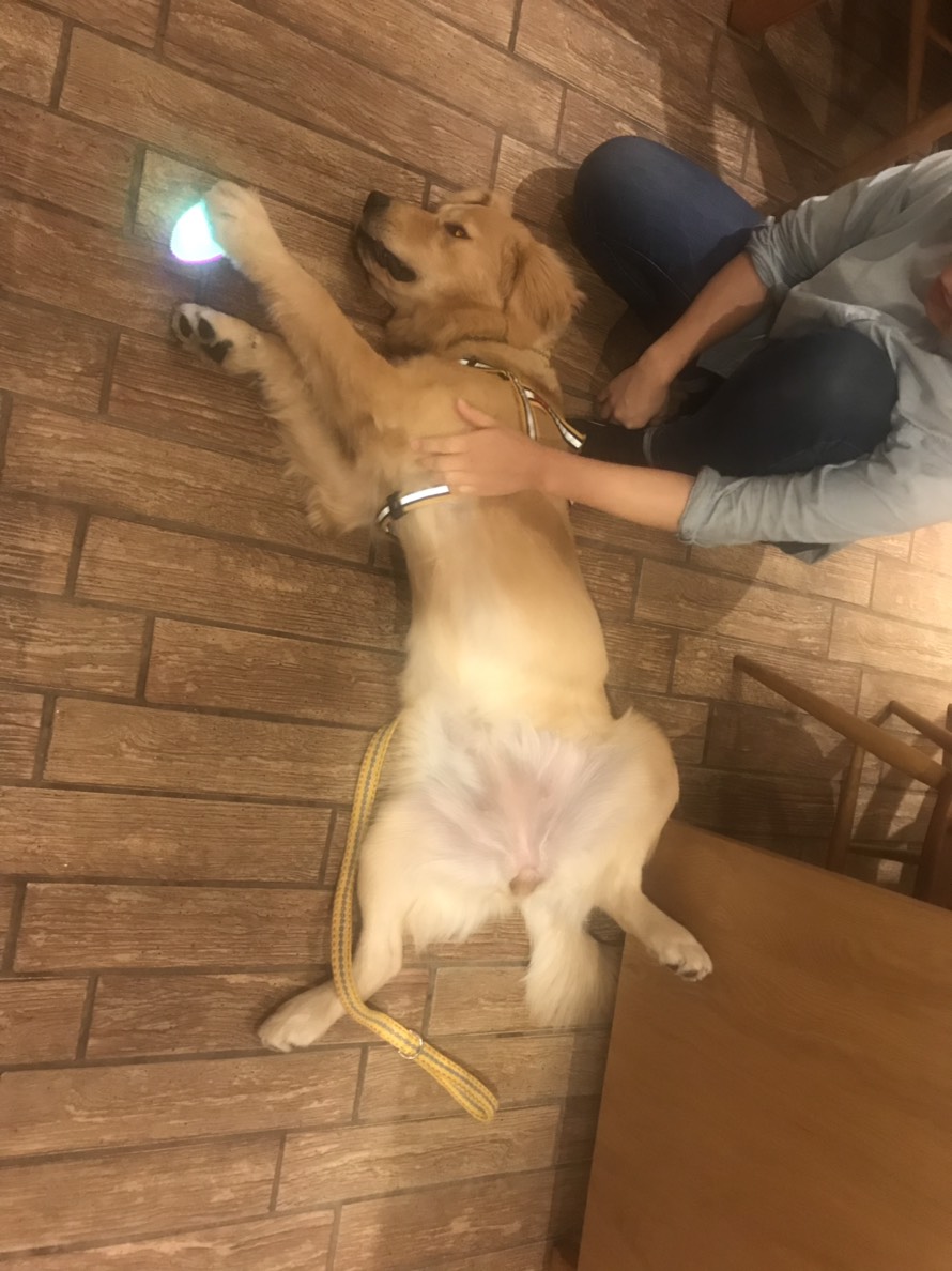 ファイル 6835-3.jpg