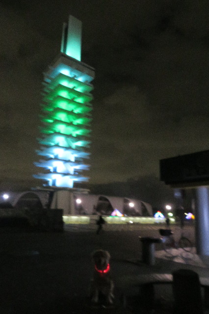 ファイル 6836-2.jpg