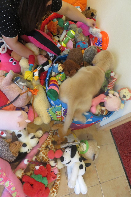 ファイル 6837-3.jpg