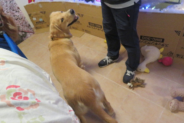 ファイル 6838-4.jpg