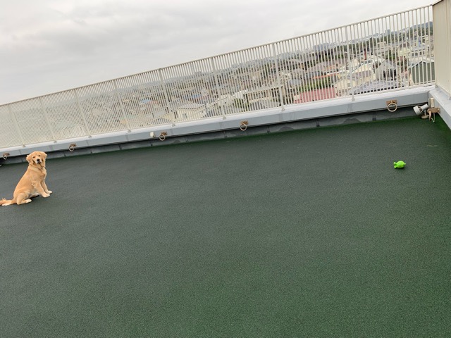 ファイル 6840-3.jpg