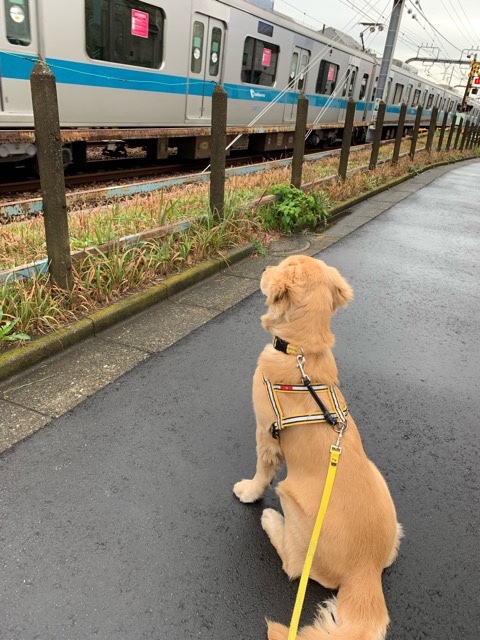 ファイル 6840-4.jpg