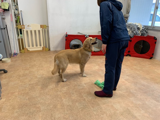 ファイル 6840-5.jpg