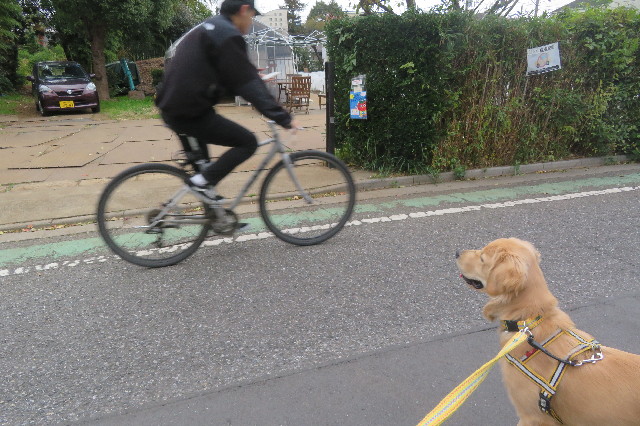 ファイル 6842-2.jpg