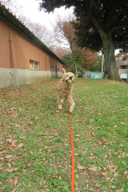 ファイル 6844-2.jpg