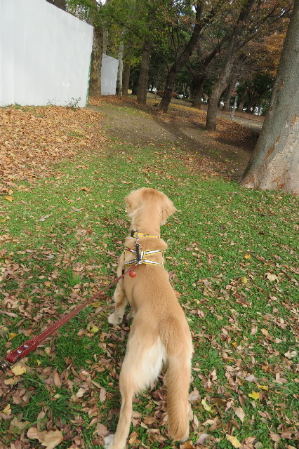 ファイル 6844-3.jpg