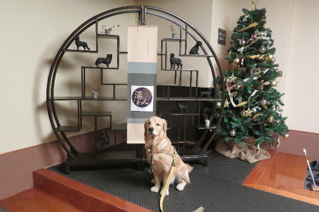 ファイル 6845-1.jpg