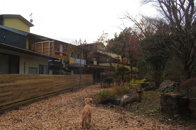 ファイル 6845-4.jpg