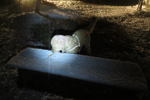 ファイル 6846-2.jpg