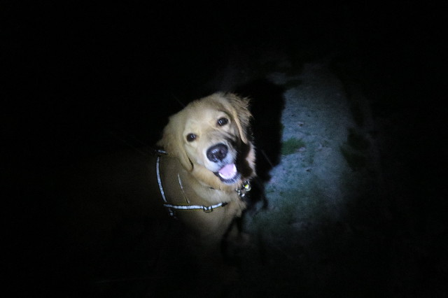 ファイル 6846-3.jpg