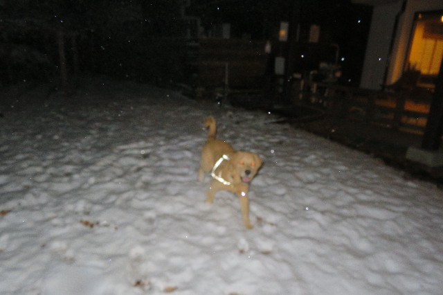 ファイル 6846-4.jpg