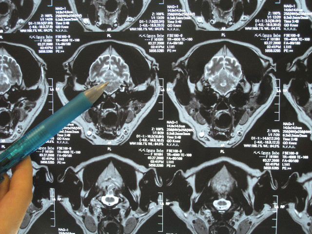 ファイル 685-1.jpg