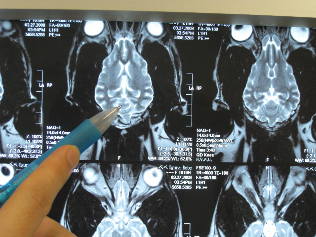 ファイル 685-2.jpg