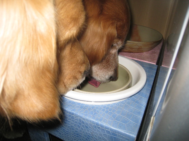 ファイル 685-5.jpg