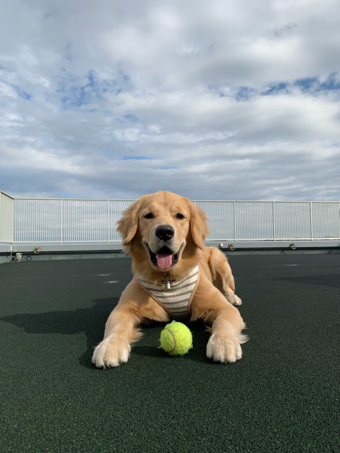 ファイル 6853-1.jpg