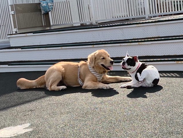 ファイル 6853-3.jpg