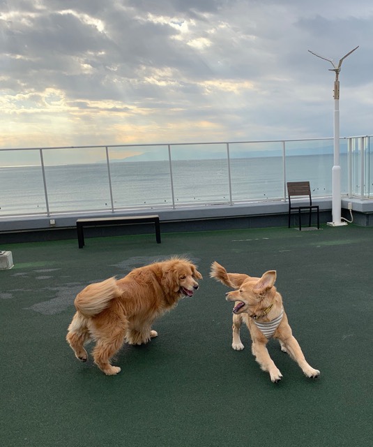 ファイル 6853-4.jpg