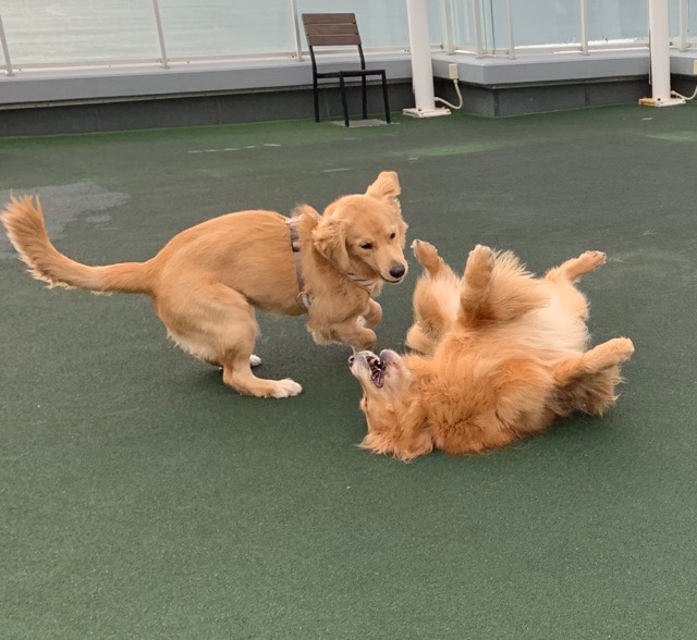 ファイル 6853-5.jpg