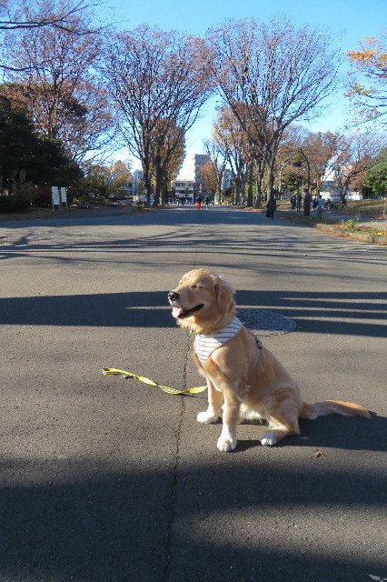 ファイル 6854-1.jpg