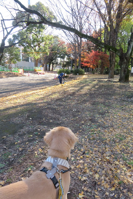 ファイル 6854-4.jpg